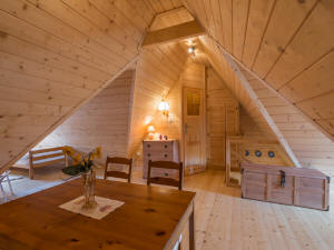 KROKUS butų Lenkijoje Tatrų kalnai Zakopanės kościelisko 02