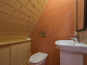 KROKUS butų Lenkijoje Tatrų kalnai Zakopanės kościelisko 04